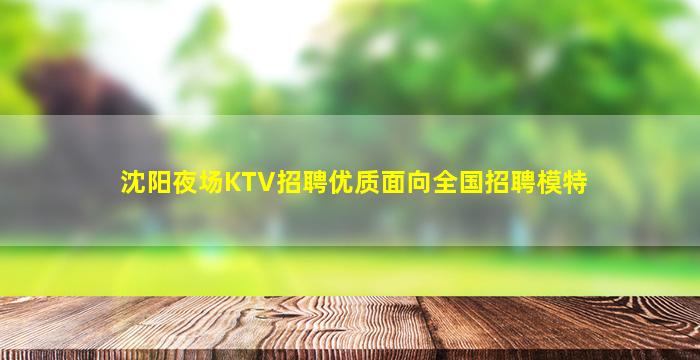 沈阳夜场KTV招聘优质面向全国招聘模特
